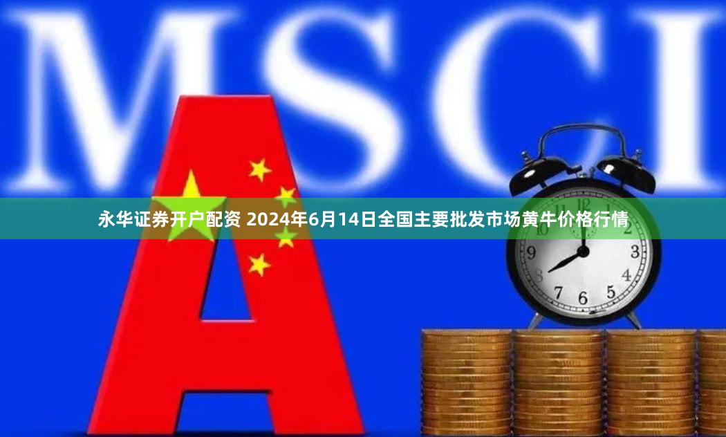 永华证券开户配资 2024年6月14日全国主要批发市场黄牛价格行情