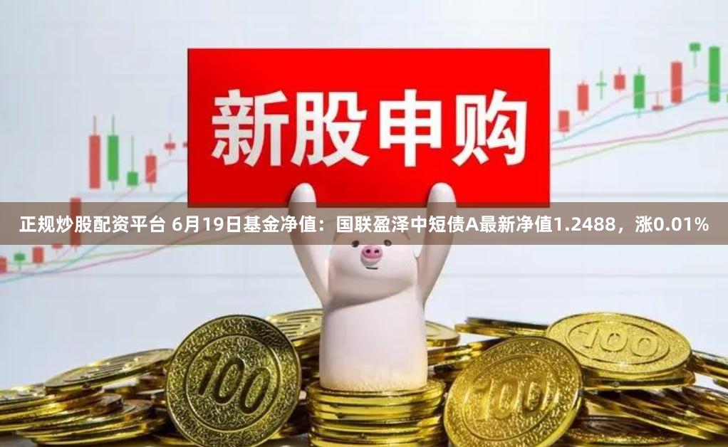 正规炒股配资平台 6月19日基金净值：国联盈泽中短债A最新净值1.2488，涨0.01%