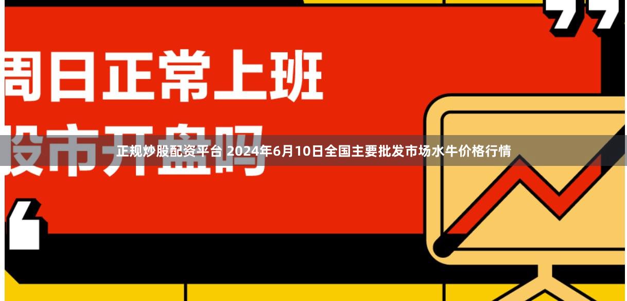 正规炒股配资平台 2024年6月10日全国主要批发市场水牛价格行情