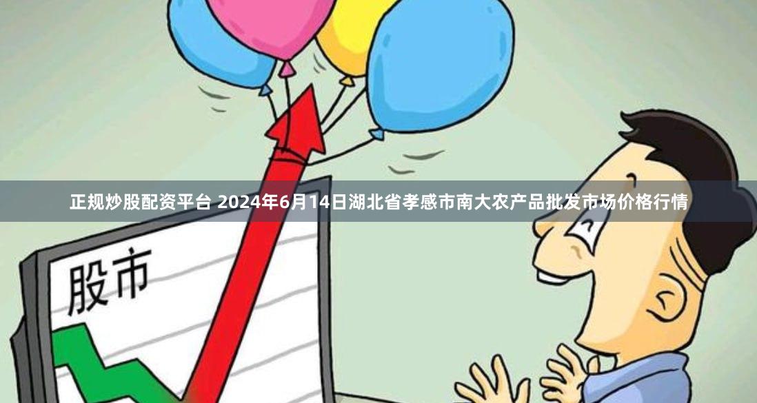 正规炒股配资平台 2024年6月14日湖北省孝感市南大农产品批发市场价格行情