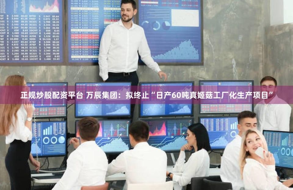 正规炒股配资平台 万辰集团：拟终止“日产60吨真姬菇工厂化生产项目”