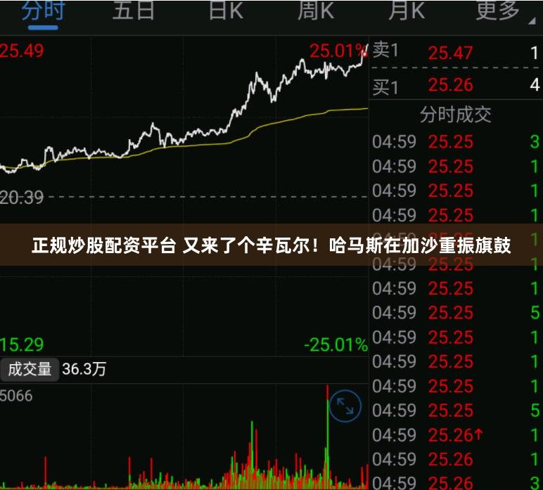 正规炒股配资平台 又来了个辛瓦尔！哈马斯在加沙重振旗鼓