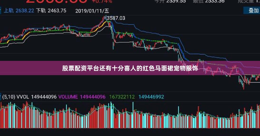 股票配资平台还有十分喜人的红色马面裙宠物服饰